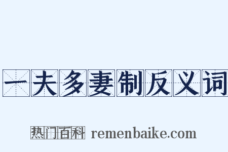 一夫多妻制反义词是什么意思的图片